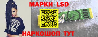 прущие грибы Будённовск