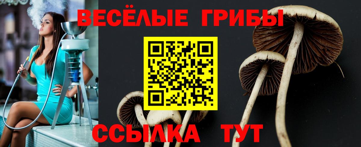 Псилоцибиновые грибы Psilocybine cubensis  Вход с VPN  Печора  наркотики  Галлюциногенные грибы Psilocybe 
